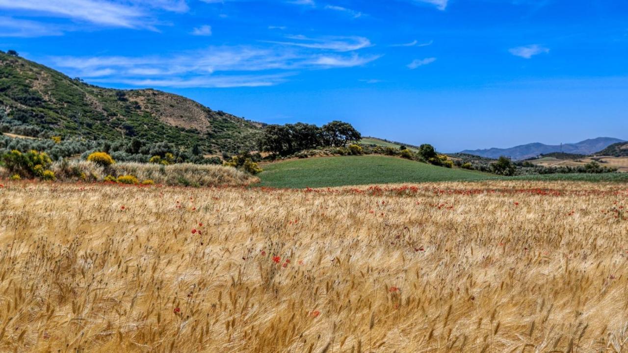 הוילה Almendros Antequera - Los Nogales By Ruralidays מראה חיצוני תמונה